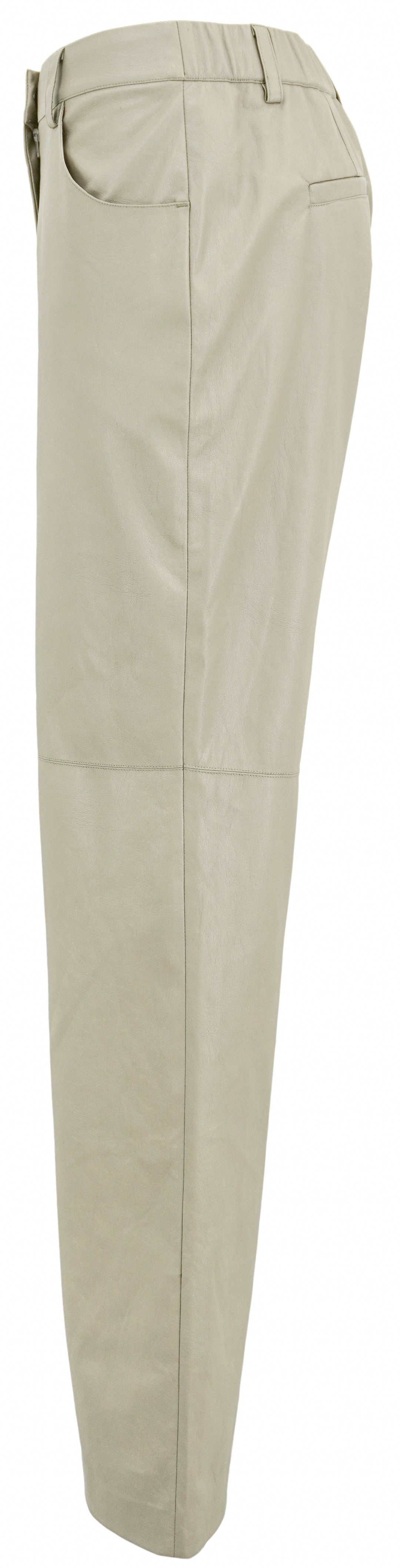 Brochu Walker Lara Vegan Leather Pants in Brume