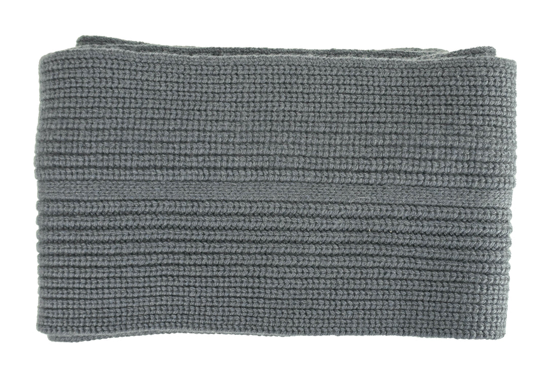 Rag and Bone Max Scarf in Ombre