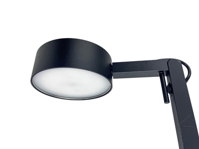 Swing Arm Strut Lamp in Black - Discounts on Houseplant at UAL