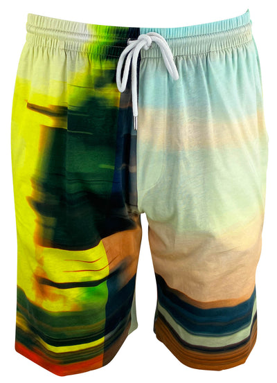 Dries Van Noten Heido Printed Cotton Shorts in Multicolor - Discounts on Dries Van Noten at UAL